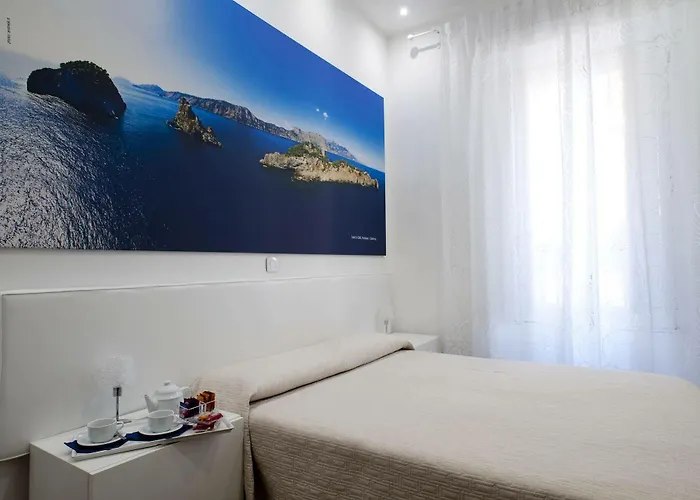 Il Reticolo 4*