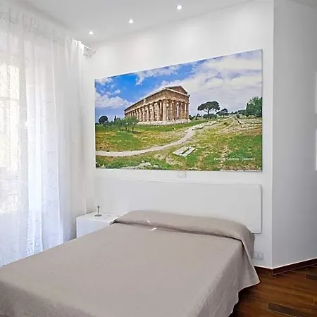 Il Reticolo